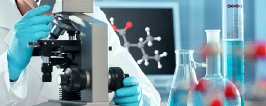 Our R & D division focuses on development of new products and drug